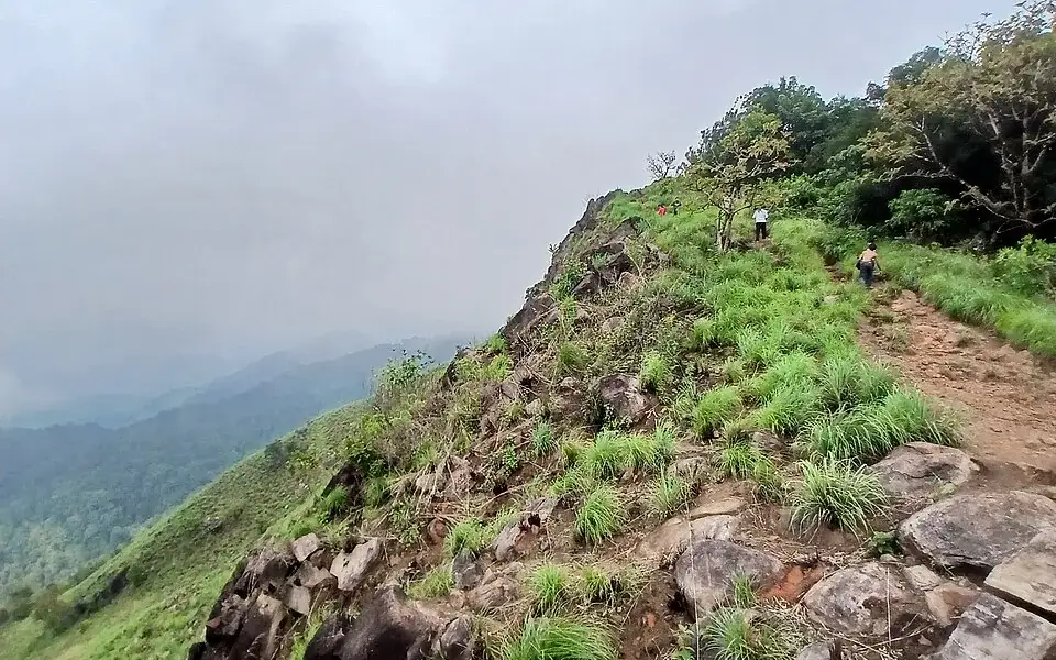 Ranipuram trek — Trek in Ranipuram