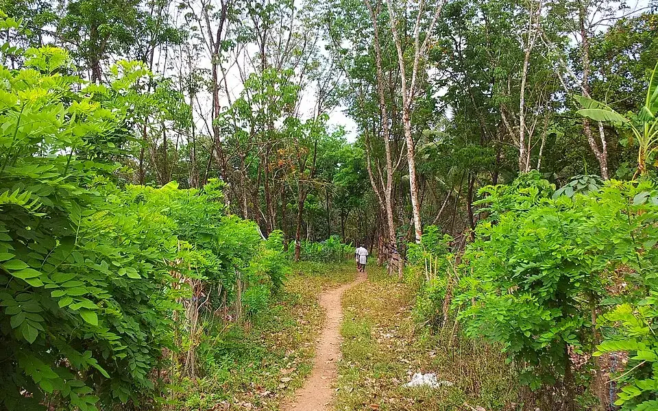 Peechi-Vazhani trek — Trek in Thrissur city