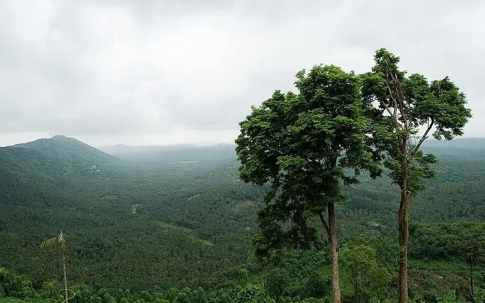 Arimbra Hills — Viewpoint in Malappuram town