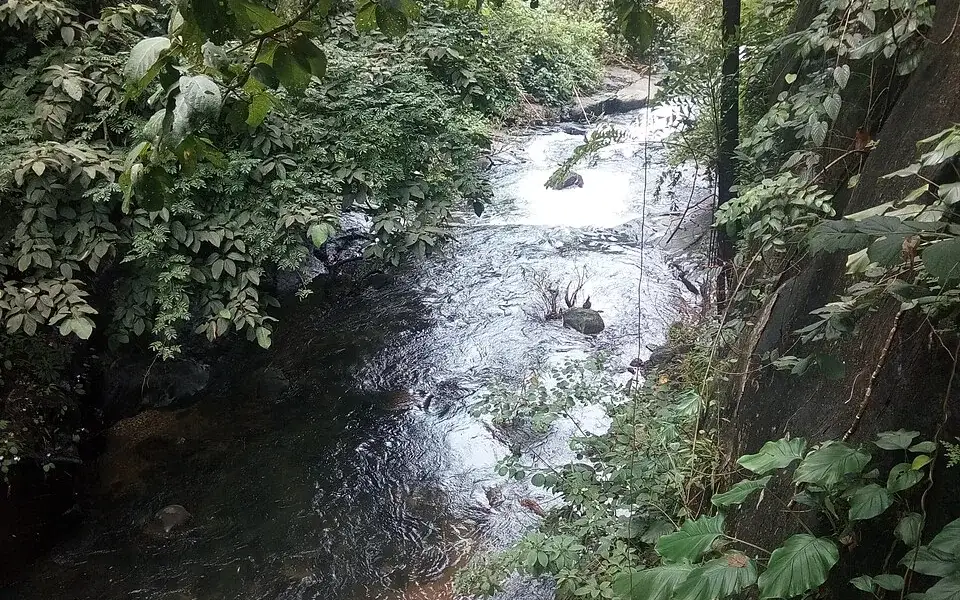 Keralamkundu Waterfalls — Waterfall in Nilambur