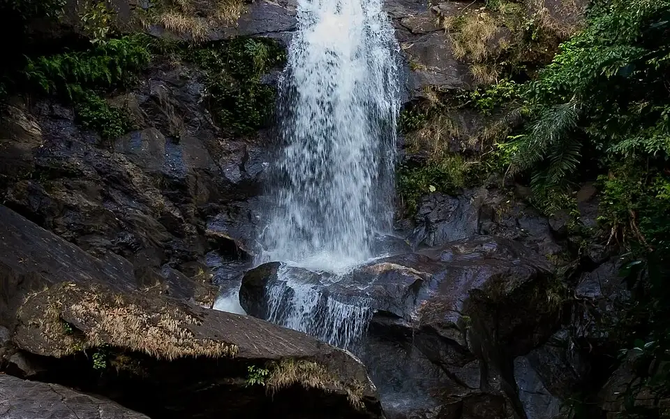 Meenvallam Waterfalls — Waterfall in Silent Valley and Mukkali