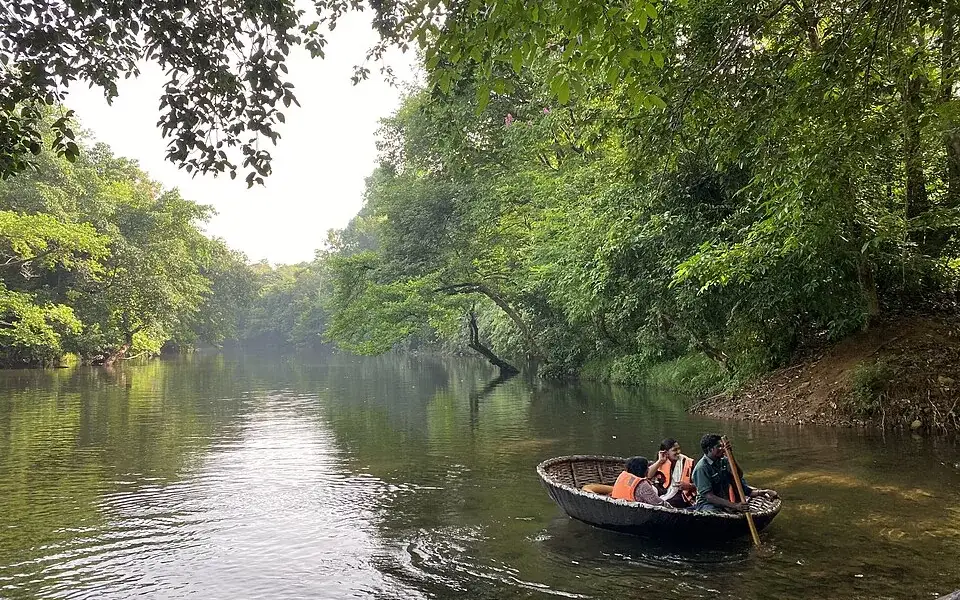 Konni Adavi trek — Trek in Konni