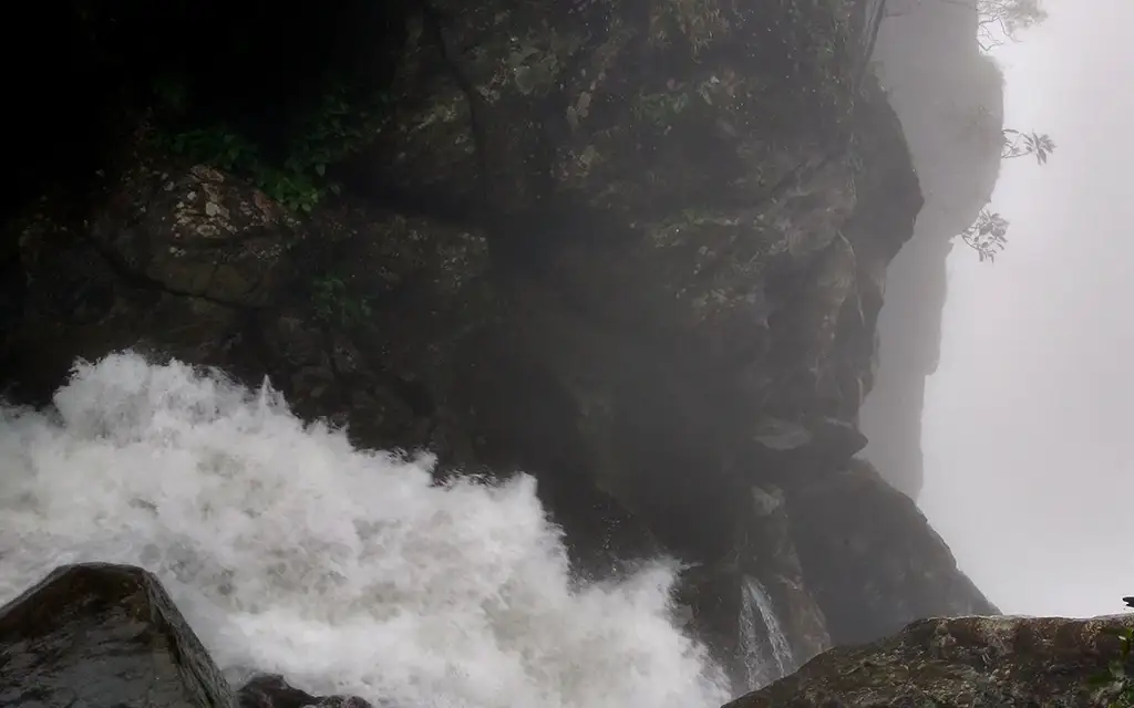 Kakkayam trek — Trek in Kakkayam