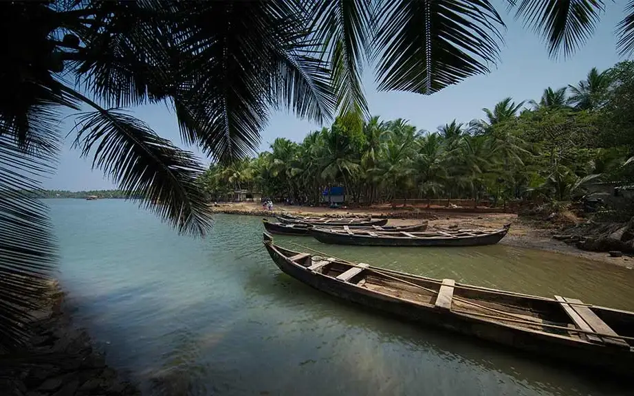Valiyaparamba Backwaters — Backwater in Valiyaparamba