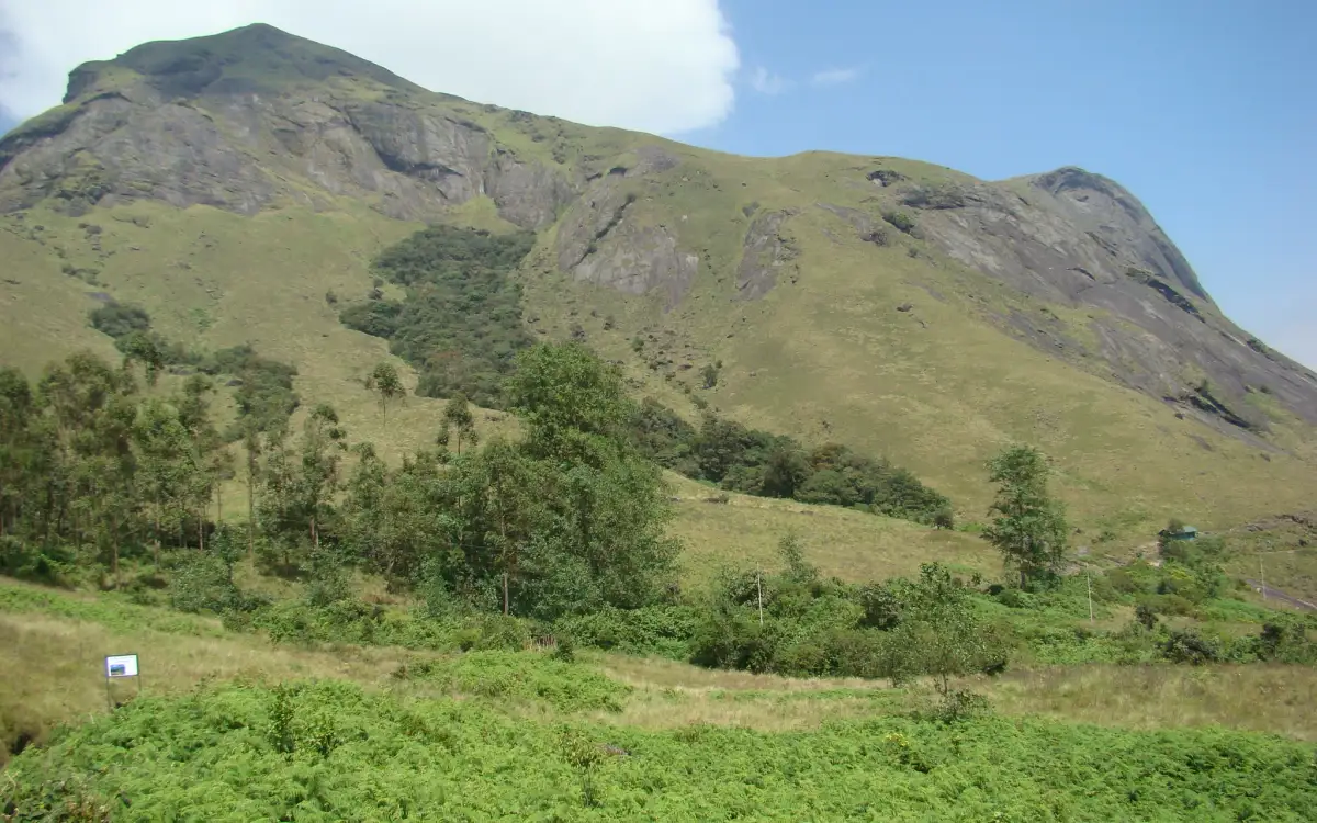 Anamudi Peak — Viewpoint in Munnar