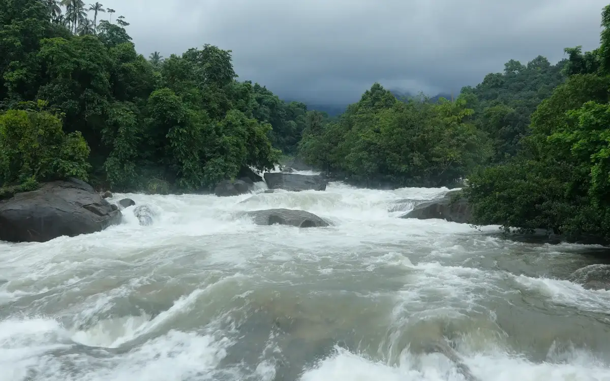 Arippara Waterfalls — Waterfall in Thusharagiri