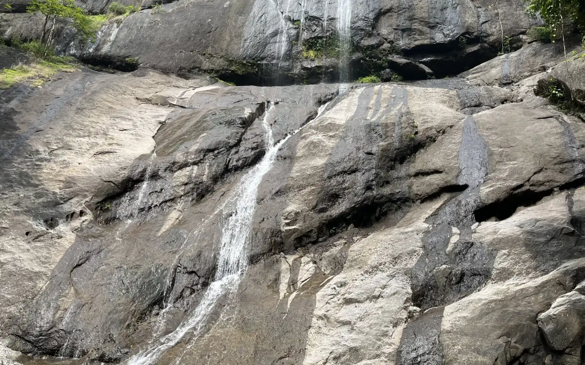 Thusharagiri Waterfalls trek — Trek in Thusharagiri