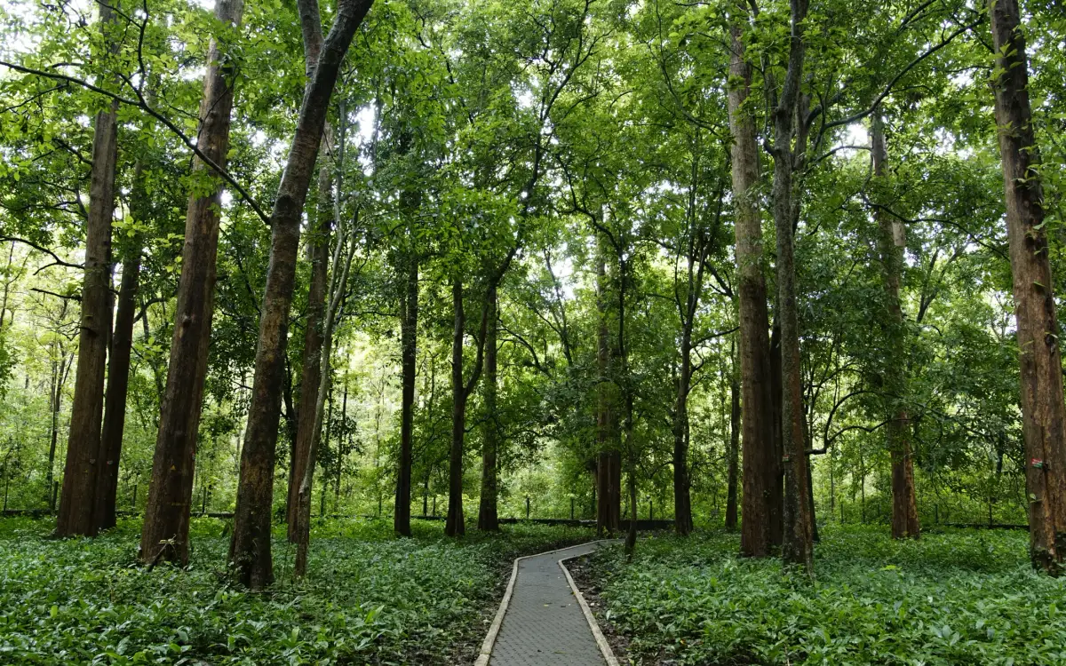 Conolly’s Plot — Heritage in Nilambur