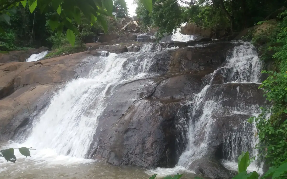 Aruvikkuzhi Waterfall — Waterfall in Kumarakom