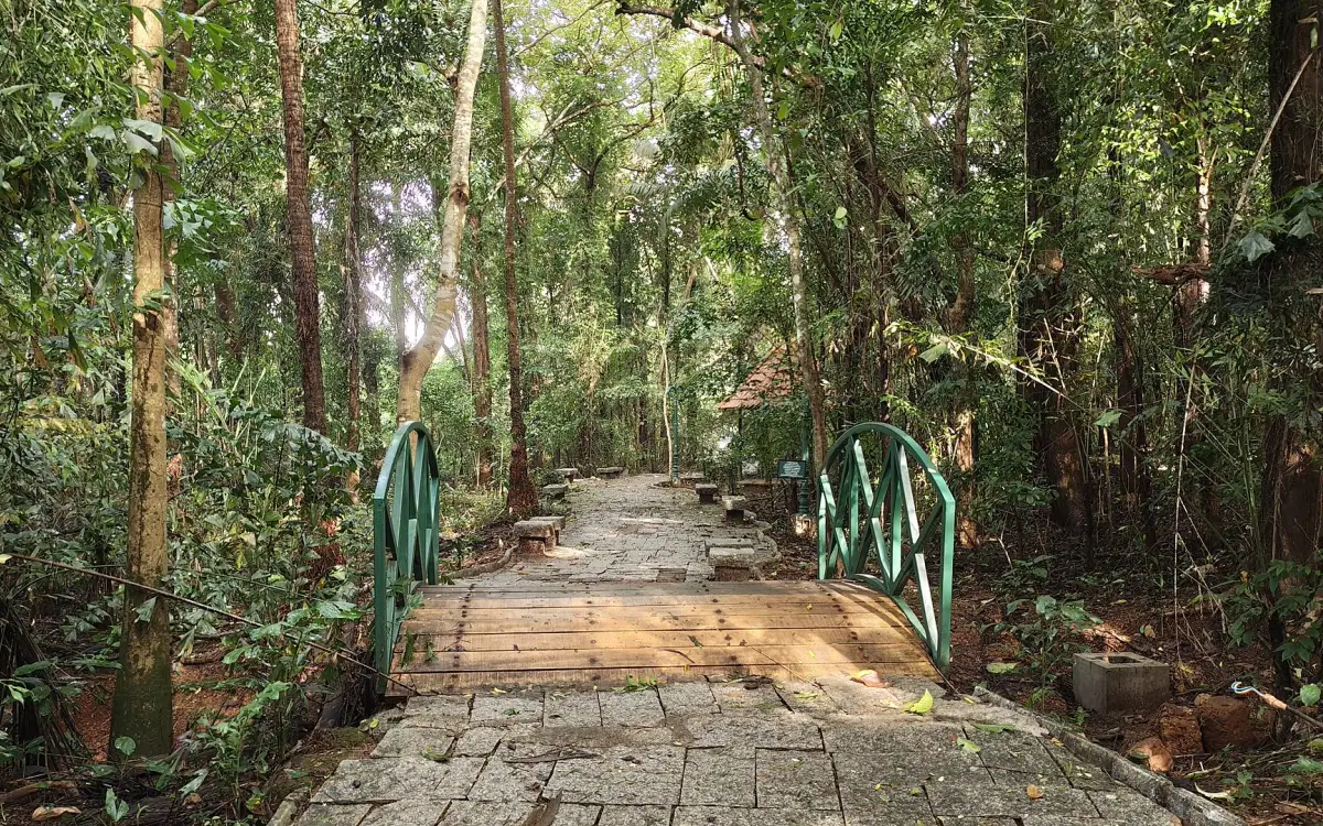 Sarovaram Bio Park — Wildlife in Kozhikode city
