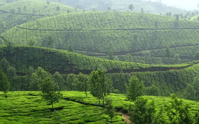 Devikulam / Sita Devi Lake — Hill Station in Munnar