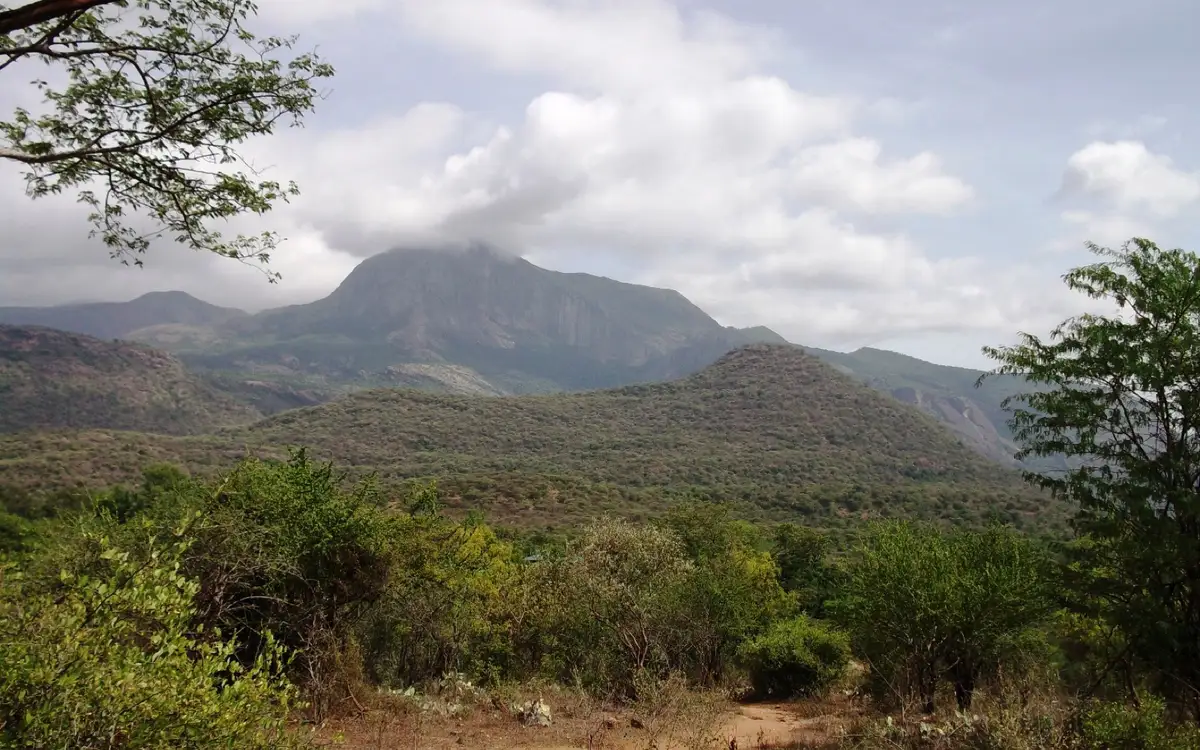 Chinnar Wildlife Sanctuary — Wildlife in Munnar