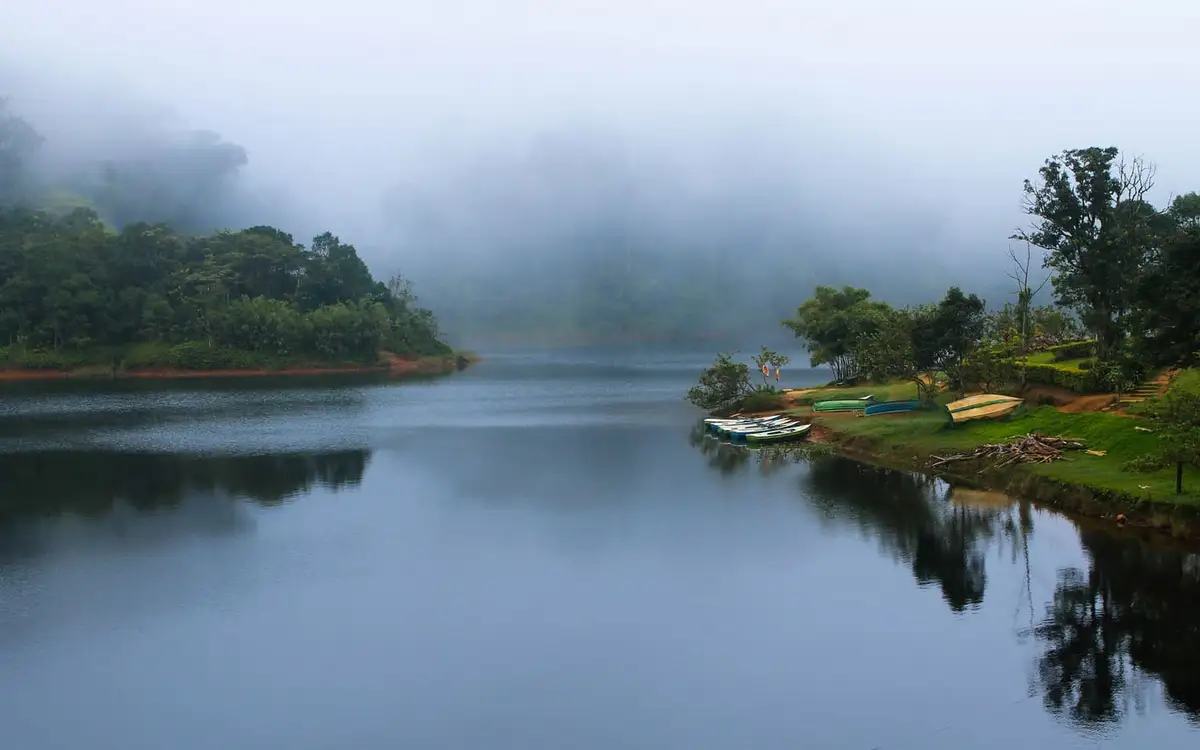 Gavi — Wildlife in Gavi