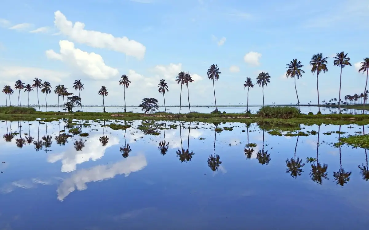 Kumarakom — Backwater in Kumarakom