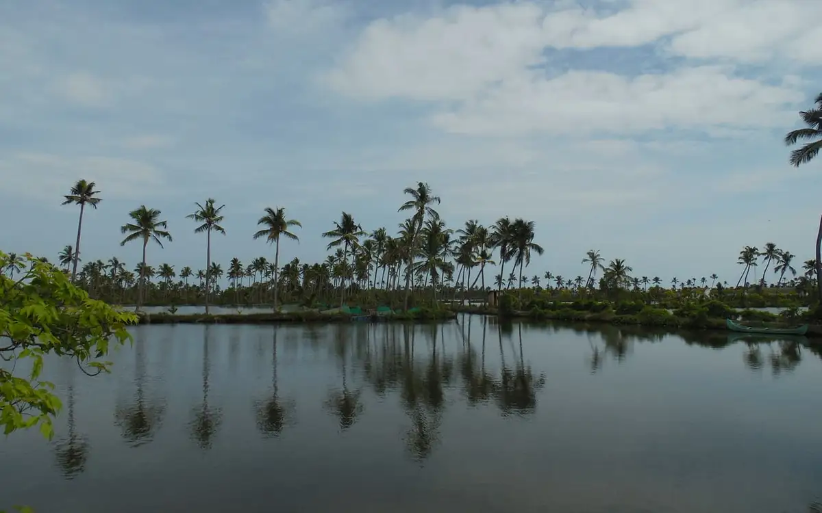 Kumbalangi — Backwater in Kumbalangi