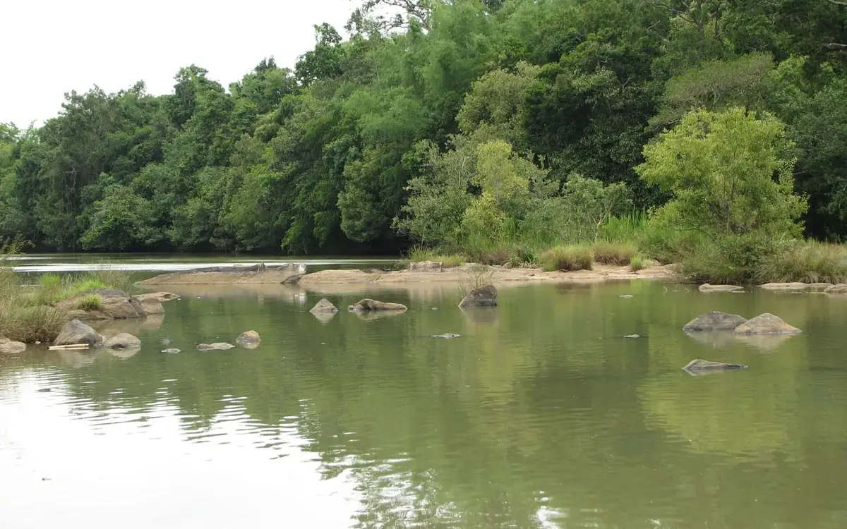 Kuruva Island — Island in Mananthavady
