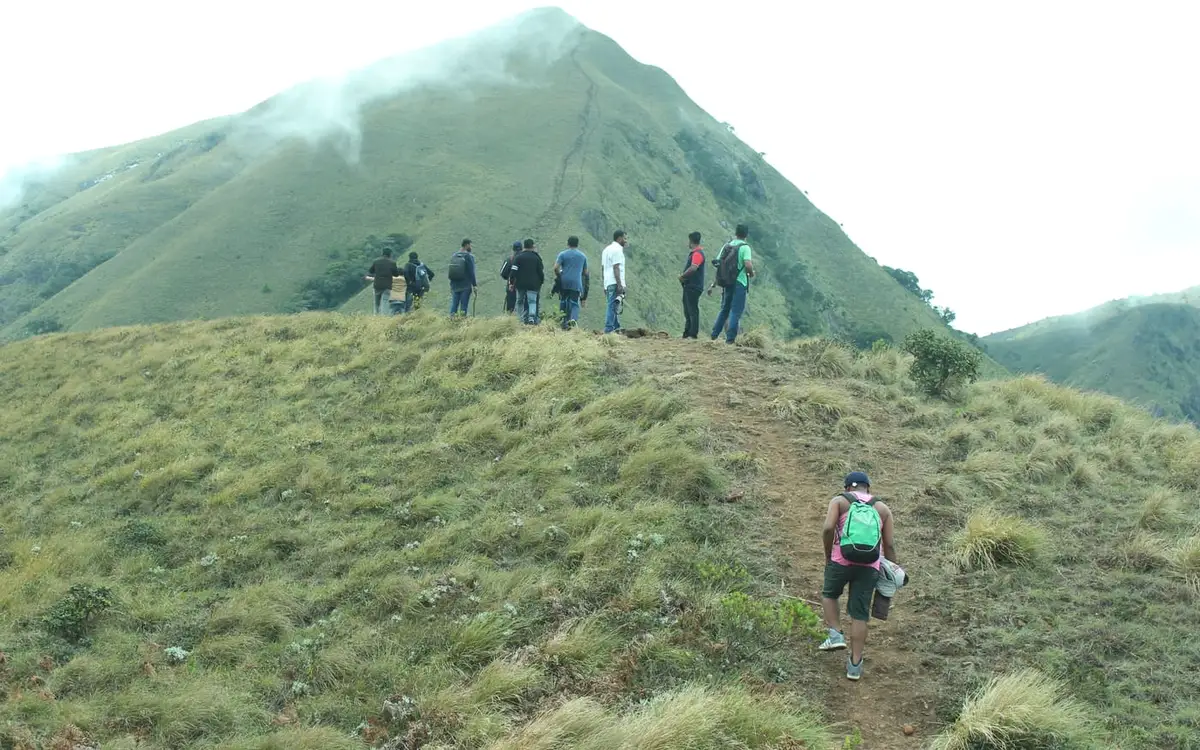 Meesapulimala trek — Trek in Munnar