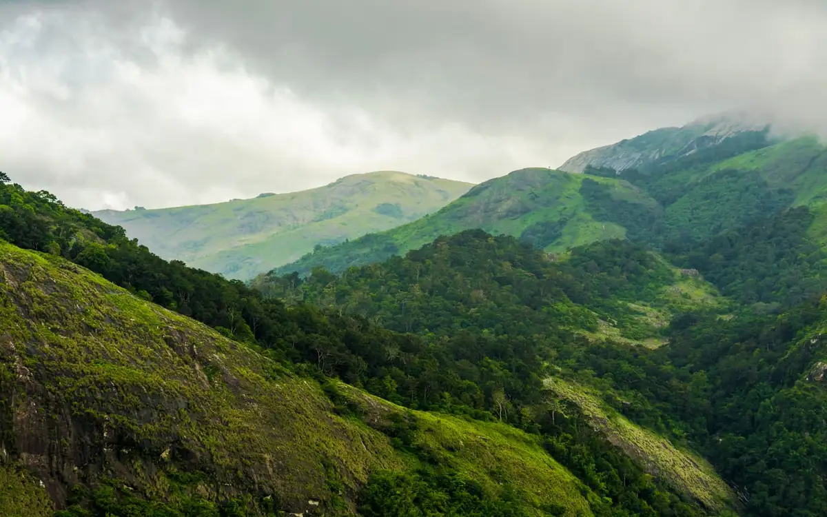 Nelliyampathy — Hill Station in Nelliyampathy