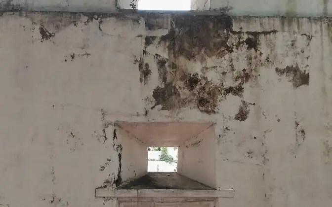 Pallipuram Fort — Heritage in Cherai and Vypin