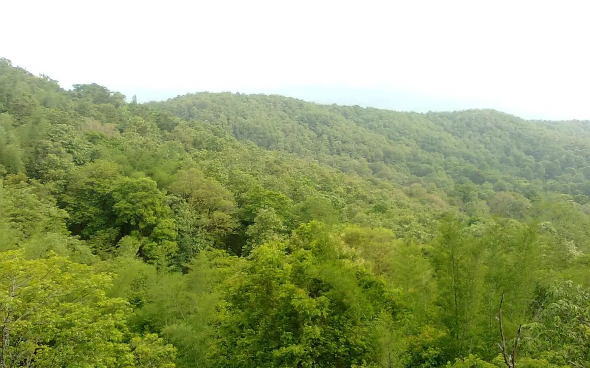 Parambikulam Tiger Reserve — Wildlife in Parambikulam