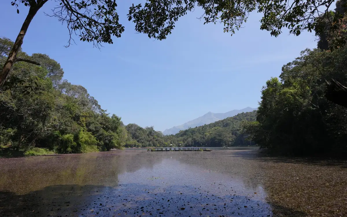 Pookode Lake — Backwater in Vythiri and Lakkidi