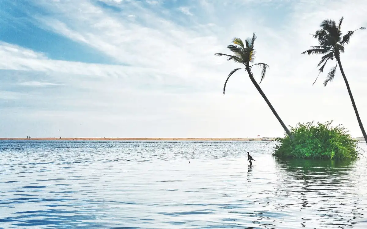 Poovar — Backwater in Poovar