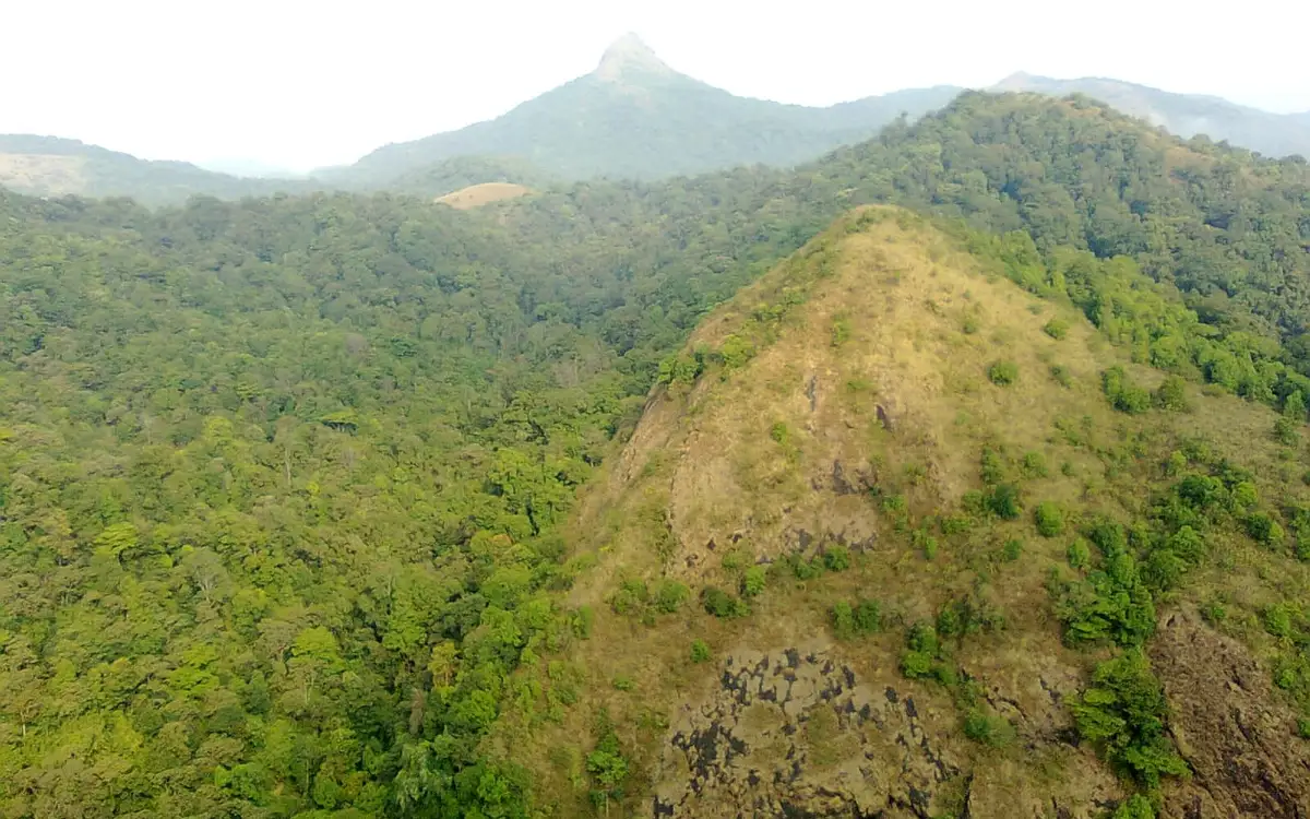 Silent Valley National Park — Wildlife in Silent Valley and Mukkali