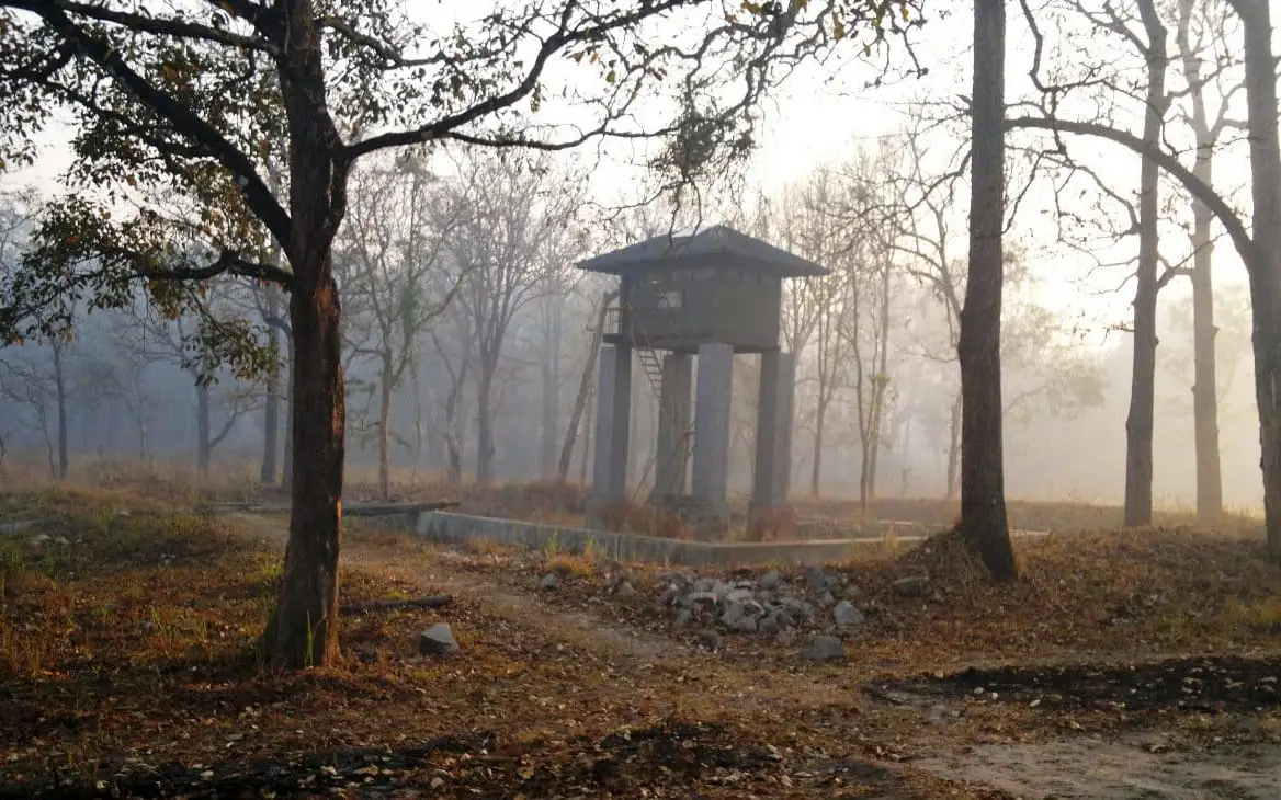Wayanad Wildlife Sanctuary — Wildlife in Sulthan Bathery