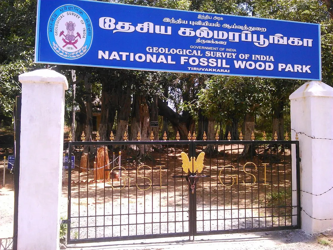 National Fossil Wood Park, Tiruvakkarai, Mailam