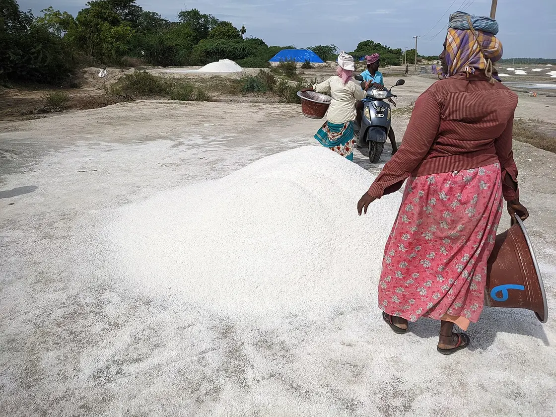 Marakkanam Salt Pans and Beach, Marakkanam