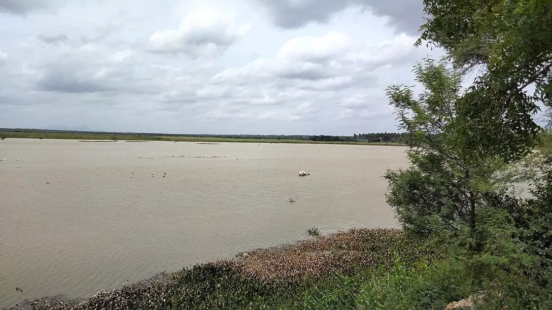 Hoskote Lake, Hoskote