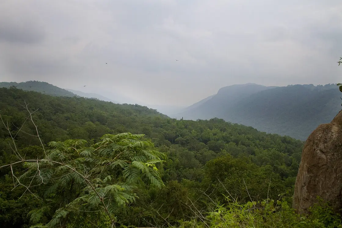 Aiyur Eco Tourism Park (Aiyur Reserve Forest), Denkanikottai