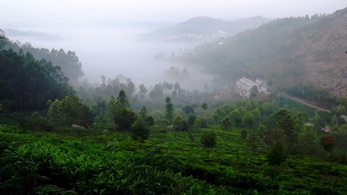 Kodanad View Point, Kotagiri