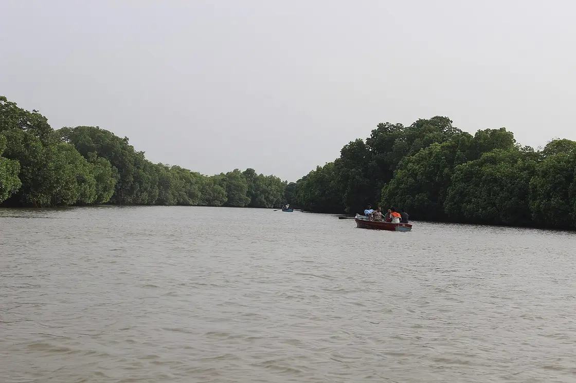 Pichavaram Mangrove Forest, Pichavaram