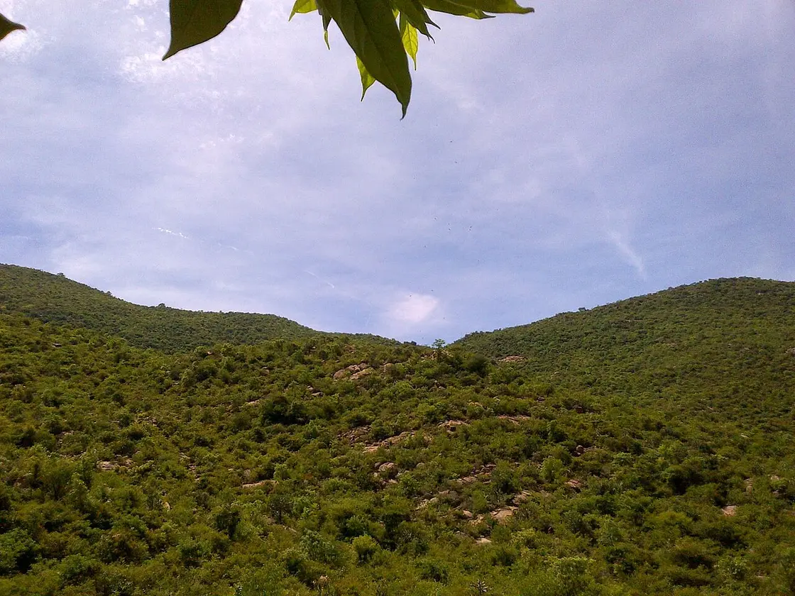 Vathalmalai (Vytla Hills), Morappur