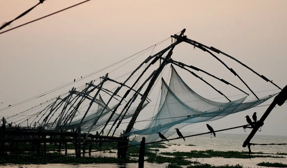 Ernakulam district