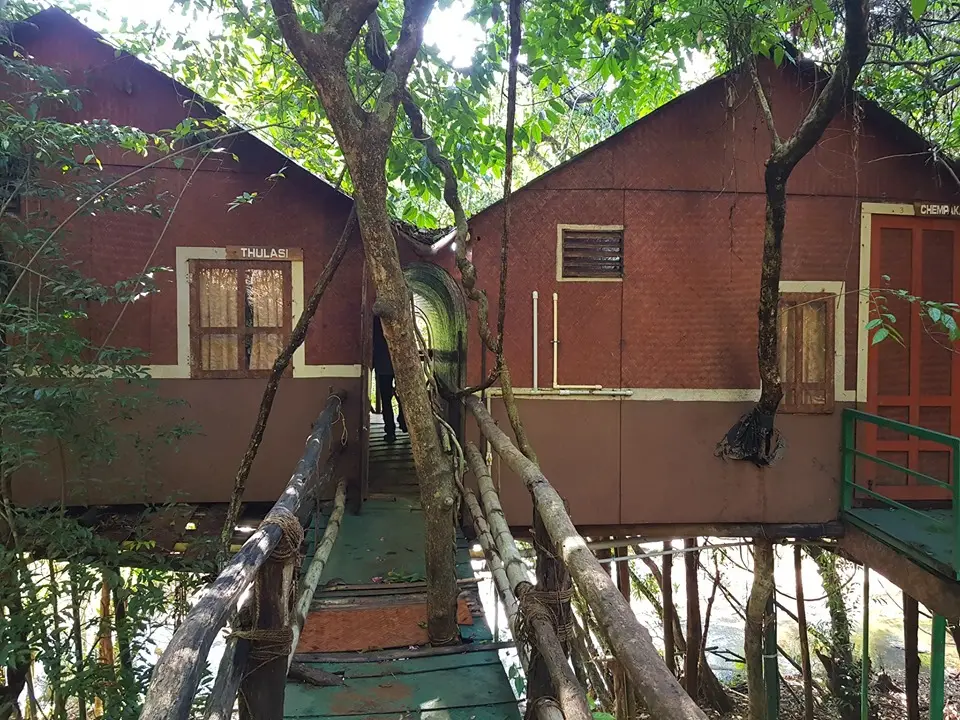Adavi tree top bamboo huts, Konni