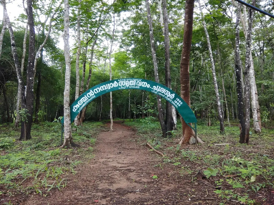 Choolannur Peafowl Sanctuary, Palakkad town