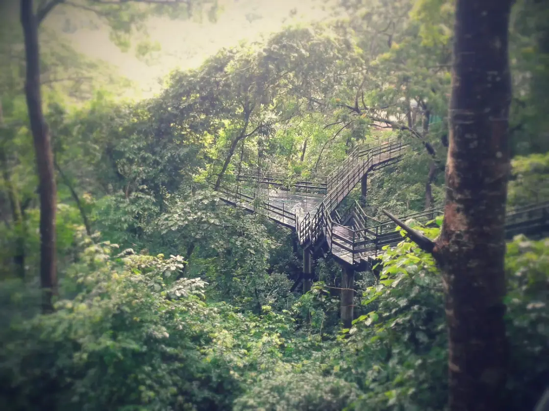 Thenmala trekking, Thenmala