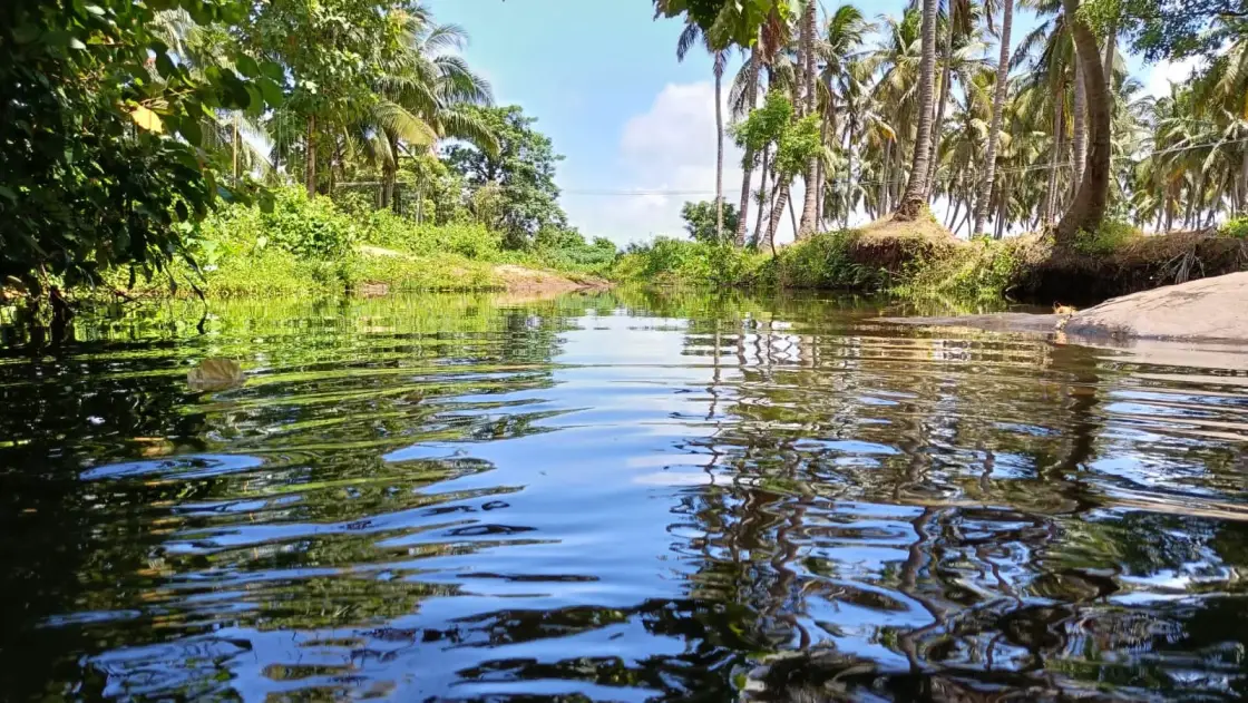 Kollengode, Palakkad town