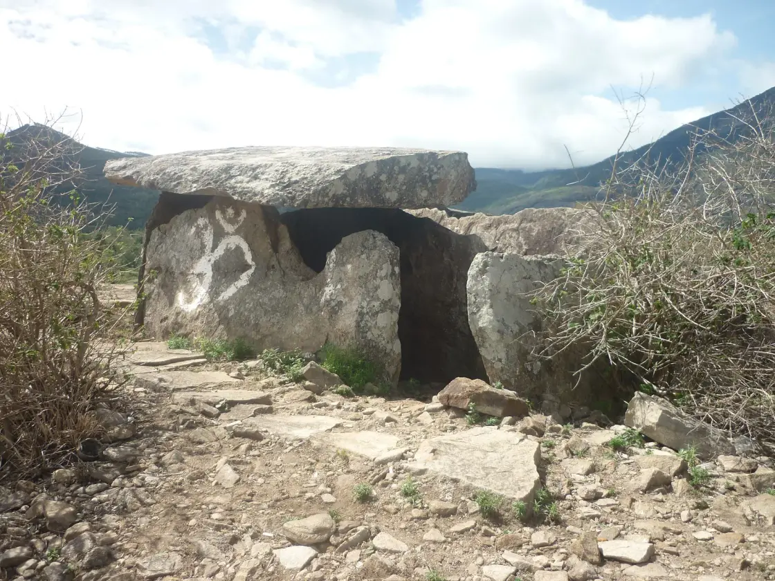 Chinnar Dolmen Culture trek, Munnar