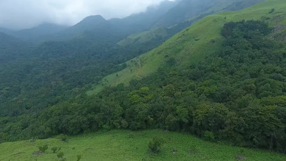 Aranamala Peak, Meppadi and Chembra