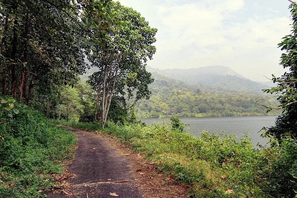 Chimmony trek, Thrissur city