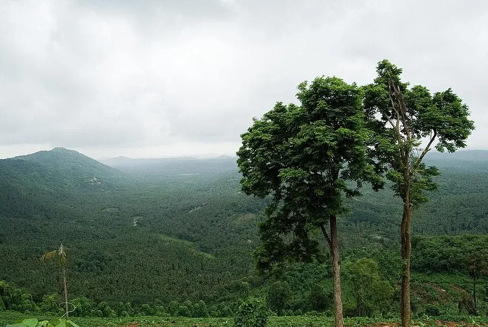 Arimbra Hills, Malappuram town