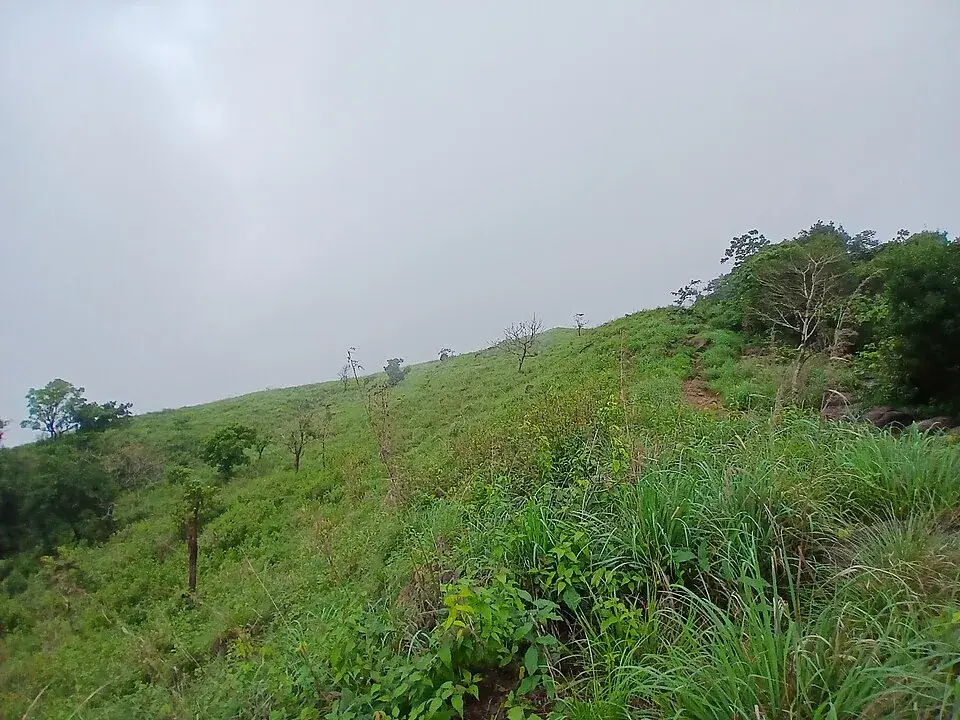 Ranipuram DTPC forest-base cottages, Ranipuram