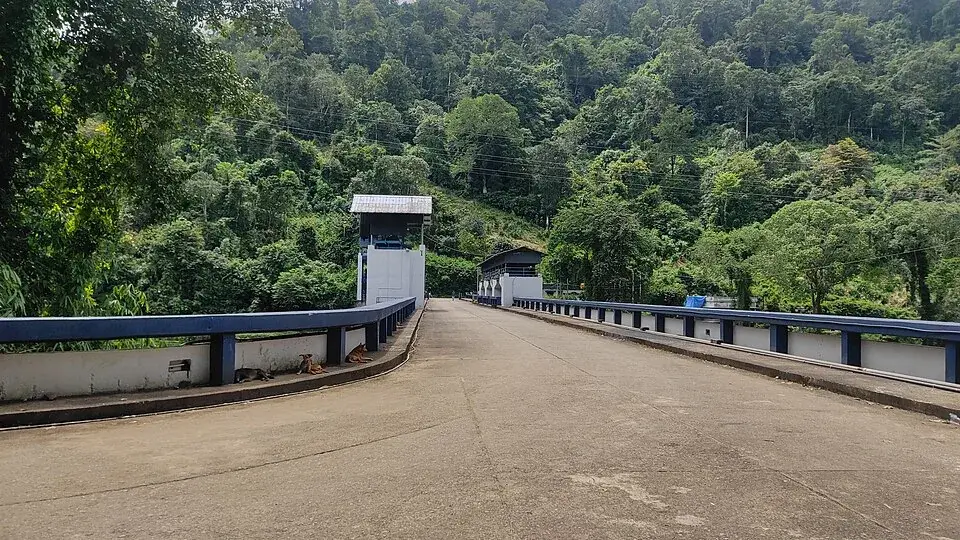 Moozhiyar Dam, Gavi