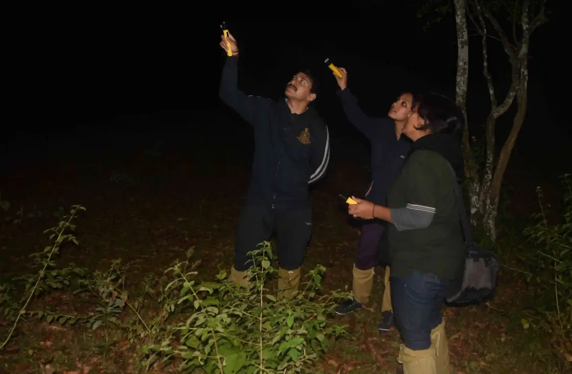 Periyar Jungle Patrol, Thekkady and Kumily