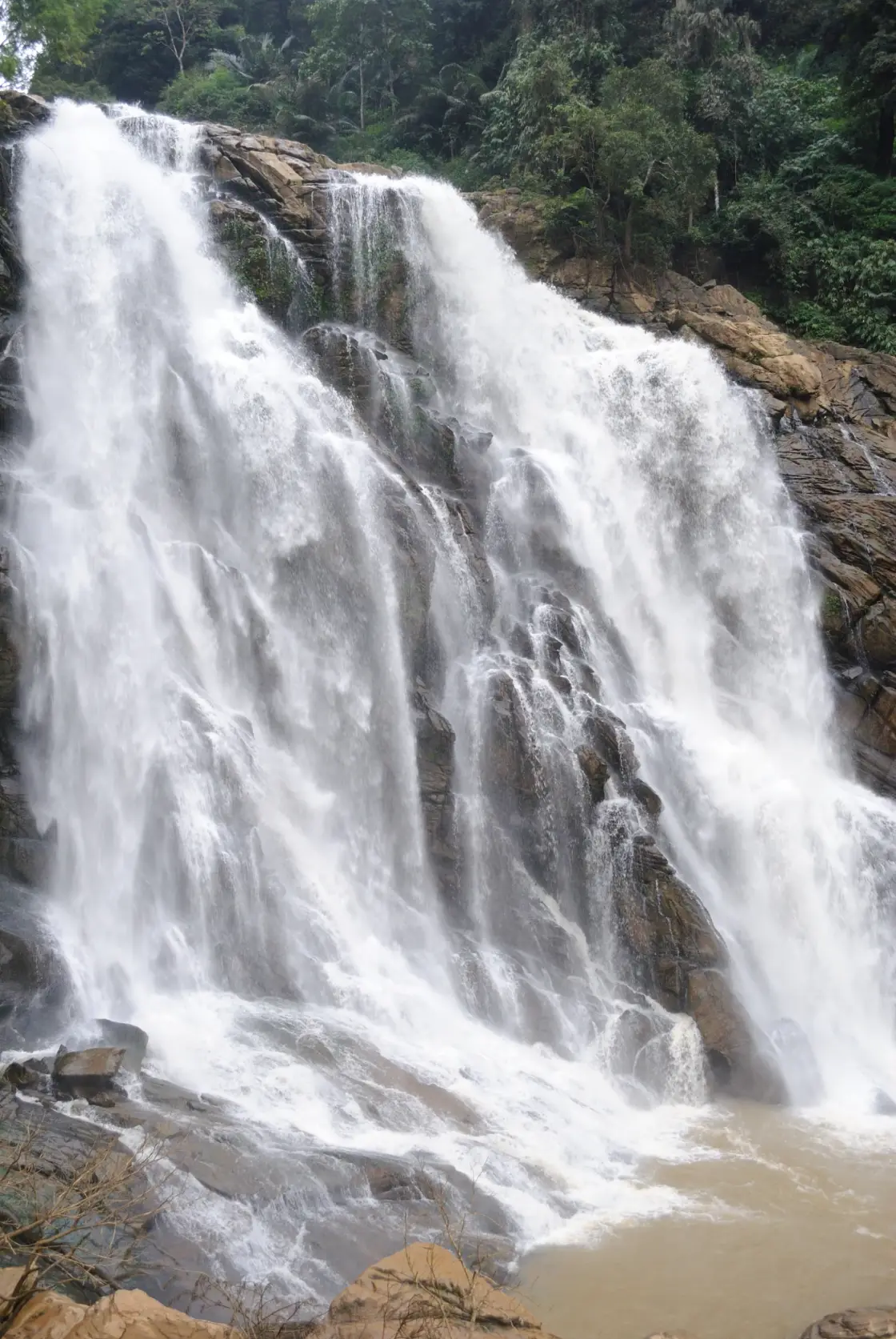 Meenmutty Falls trek, Meppadi and Chembra
