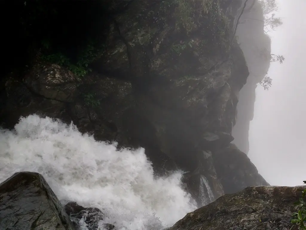 Kakkayam trek, Kakkayam
