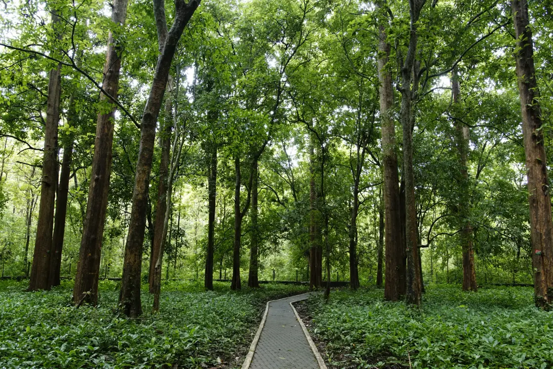 Conolly’s Plot, Vadapuram, Nilambur